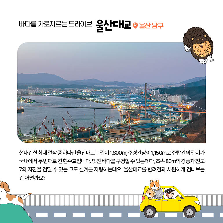 울산대교 울산대교 울산 남구 현대건설 최대 걸작 중 하나인 울산대교는 길이 1,800m, 주경간장이 1,150m로 주탑 간의 길이가 국내에서 두 번째로 긴 현수교입니다. 멋진 바다를 구경할 수 있는데다, 초속 80m의 강풍과 진도 7.0의 지진에도 견딜 수 있는 고도 설계를 자랑하는데요. 울산대교를 반려견과 시원하게 건너보는 건 어떨까요?